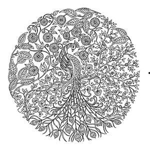 我的秘密花园1,我的秘密花园之旅 第2张 我的秘密花园1,我的秘密花园之旅 第2张