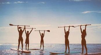 高枝难攀,挑战高枝难攀的壮志与智慧