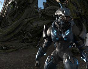 赫利 1982 第3张 赫利 1982 第3张