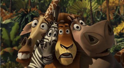 马达加斯加,非洲之翼的生态奇迹与多元文化之旅 第2张 马达加斯加,非洲之翼的生态奇迹与多元文化之旅 第2张