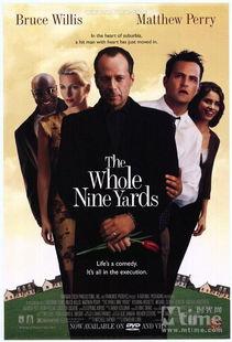 整九码,揭秘数字密码背后的神秘力量  第2张