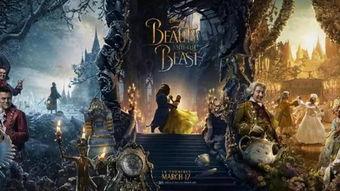 大脚怪的野兽之路,野兽之路的神秘探险之旅 第3张 大脚怪的野兽之路,野兽之路的神秘探险之旅 第3张